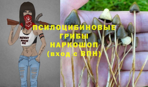 твердый Алексин