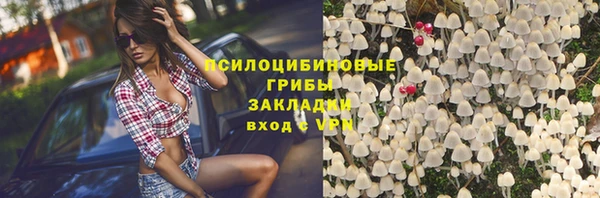 мяу мяу мука Алзамай