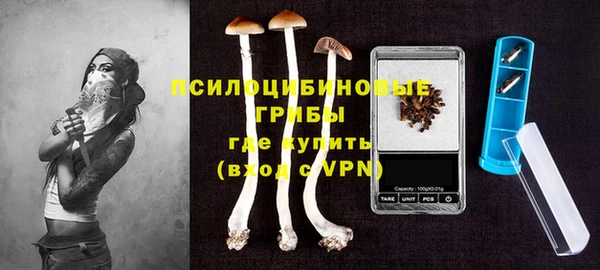 твердый Алексин