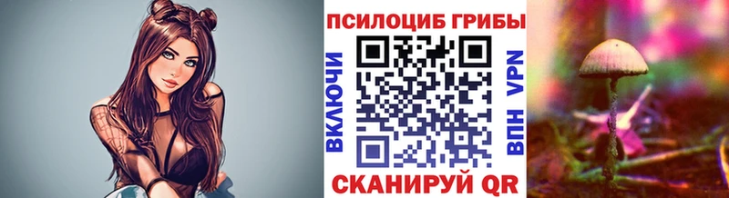 Псилоцибиновые грибы Psilocybe МЕГА как зайти Ижевск